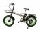 Электро фэтбайк Elbike TAIGA 2 ELITE cam 1500w48v16a